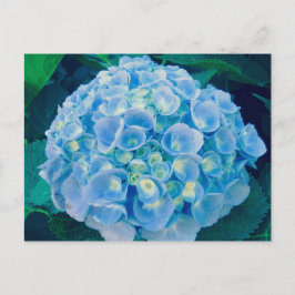 Babyblauwe hydrangea bloom briefkaart