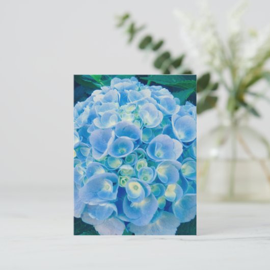 Babyblauwe hydrangea bloom briefkaart (Staand voorkant)