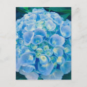 Babyblauwe hydrangea bloom briefkaart (Voorkant)