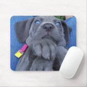 babyblauwe weimeranker muismat (Met muis)