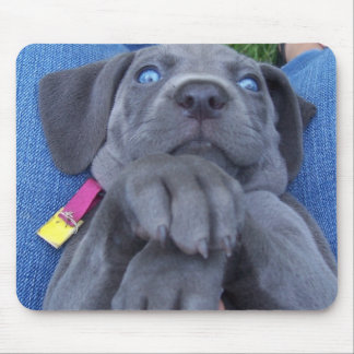 babyblauwe weimeranker muismat