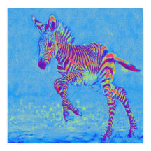 babyblauwe zebra