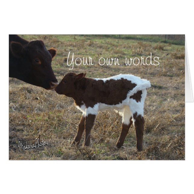 BabyBliss-om het even welke gelegenheid-pas aan (Voorkant Horizontaal)