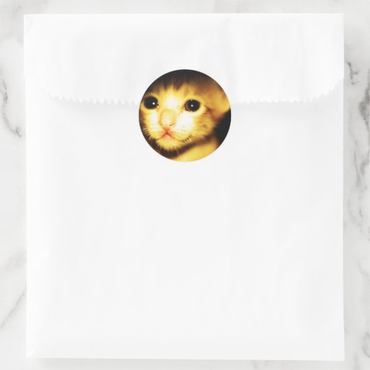 Babycat Ronde Sticker (Tas)