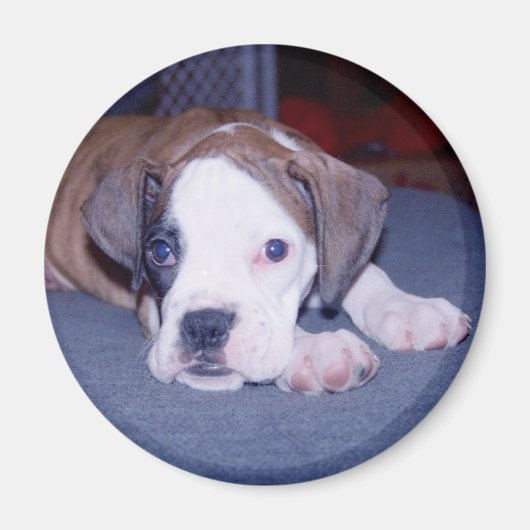 BabyChloe Magneet (Voorkant)