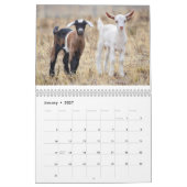Babydieren Agenda Kalender (Jan 2027)