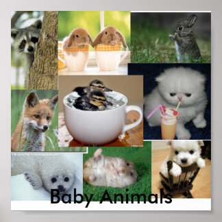 Babydieren Poster