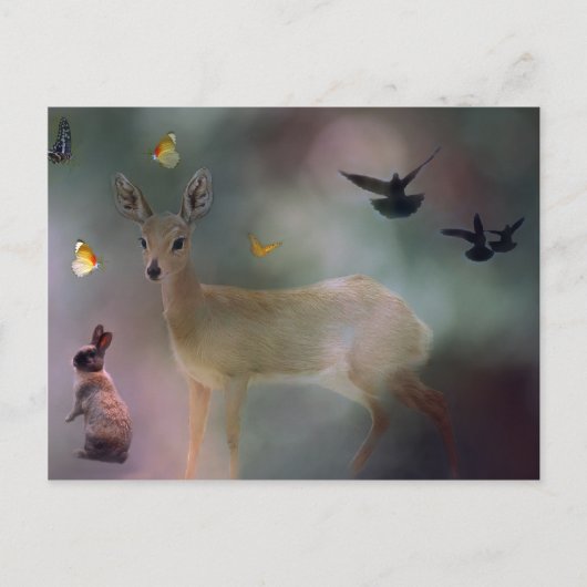 Babydierenwoud Briefkaart (Voorkant)