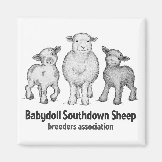 Babydoll Sheep products Magneet (Voorkant)