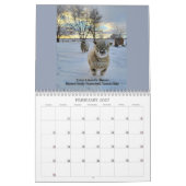 Babydoll Southdown Schaap 2024 NABSSAR Kalender (Feb 2027)