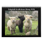 Babydoll Southdown Schaap 2024 NABSSAR Kalender (Hoes)