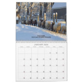 Babydoll Southdown Schaap 2024 NABSSAR Kalender (Jan 2026)