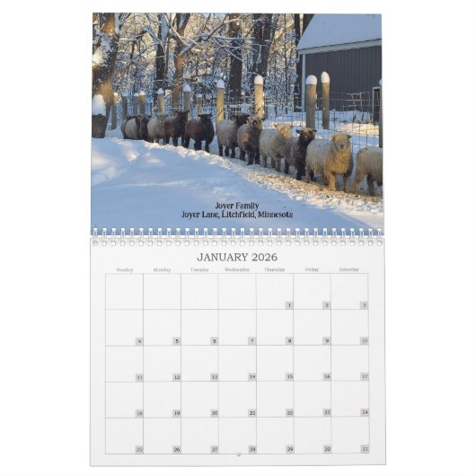 Babydoll Southdown Schaap 2024 NABSSAR Kalender (Jan 2026)