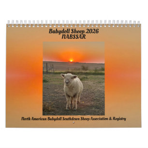Babydoll Southdown Schaap 2026 NABSSAR Kalender