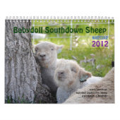 Babydoll Southdown Sheep 2012 NABSSAR-kalender Kalender (Hoes)