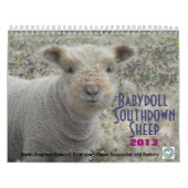 Babydoll Southdown Sheep 2013 NABSSAR-kalender Kalender (Hoes)