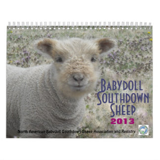 Babydoll Southdown Sheep 2013 NABSSAR-kalender Kalender