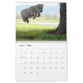 Babydoll Southdown Sheep 2014 NABSSAR-kalender Kalender (Mar 2026)