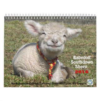 Babydoll Southdown Sheep 2014 NABSSAR-kalender Kalender