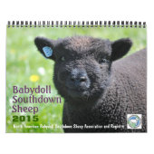 Babydoll Southdown Sheep 2015 NABSSAR Calendar Kalender (Hoes)