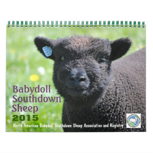 Babydoll Southdown Sheep 2015 NABSSAR Calendar Kalender