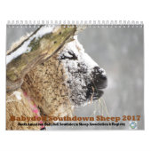 Babydoll Southdown Sheep 2017 NABSSAR Calendar Kalender (Hoes)