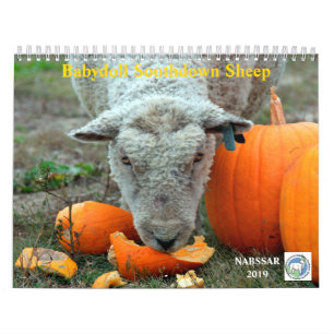 Babydoll Southdown Sheep 2019 NABSSAR Calendar Kalender