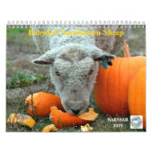 Babydoll Southdown Sheep 2019 NABSSAR Calendar Kalender (Hoes)