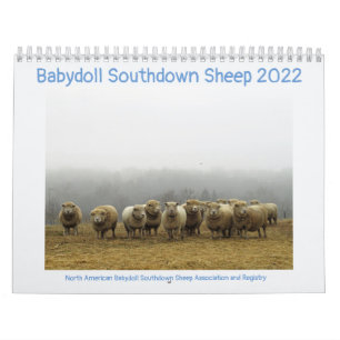 Babydoll Southdown Sheep 2022 NABSSAR Calendar Kalender