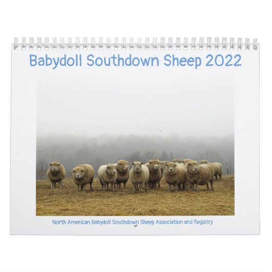 Babydoll Southdown Sheep 2022 NABSSAR Calendar Kalender (Hoes)