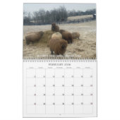 Babydoll Southdown Sheep 2022 NABSSAR Calendar Kalender (Feb 2026)