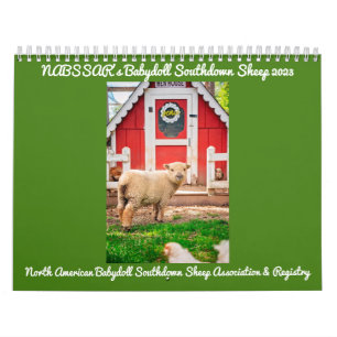 Babydoll Southdown Sheep 2023 NABSSAR Calendar Kalender