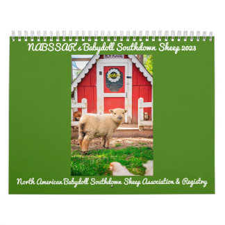 Babydoll Southdown Sheep 2023 NABSSAR Calendar Kalender