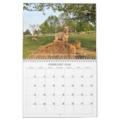 Babydoll Southdown Sheep 2026 NABSSAR Calendar Kalender (Feb 2026)