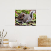 BabyGrey Poster (Keuken)