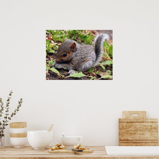 BabyGrey Poster (Keuken)