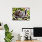 BabyGrey Poster (Thuiskantoor)