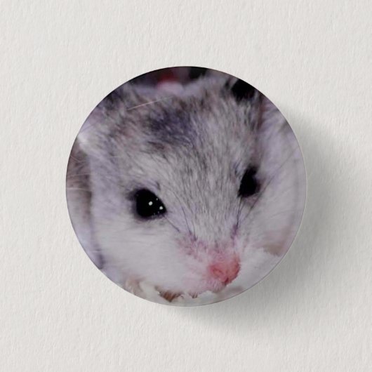 babyham ronde button 3,2 cm (Voorkant)