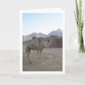 Babykameel in woestijn kaart (Voorkant)