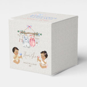 Babykleren Geslacht Onthulling Ivoor Roze Blauw Bedankdoosjes