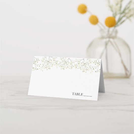 Baby's Breath Naam Plaatjes Plaatskaartje (Voorkant)