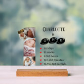 Baby's eerste jaar fotocollage nummer 1 acryl bord (Neutraal)