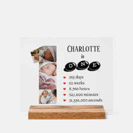 Baby's eerste jaar fotocollage nummer 1 acryl bord