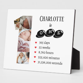 Baby's eerste jaar fotocollage nummer 1 fotoplaat