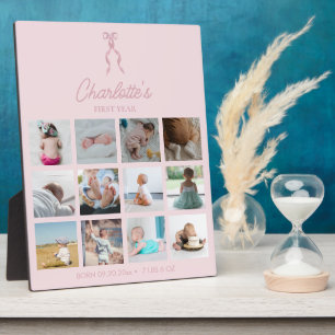 Baby's Eerste Jaar Foto's Geboorte Stats Roze Stri Fotoplaat