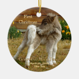 Baby's eerste kerst Pony in Poppies Ornament