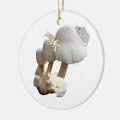 Baby's Eerste Verjaardag Paddenstoel Speeltuin Roz Keramisch Ornament (Links)