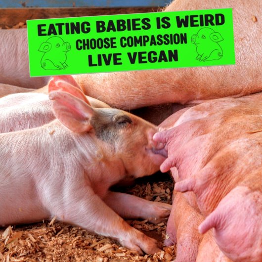 Baby's eten is raar, Vegan Activism, Bumpersticker