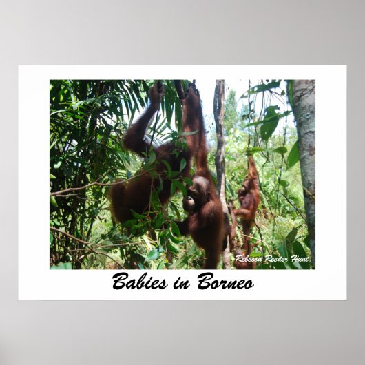 Baby's in Borneo Poster (Voorkant)