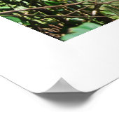 Baby's in Borneo Poster (Hoek)